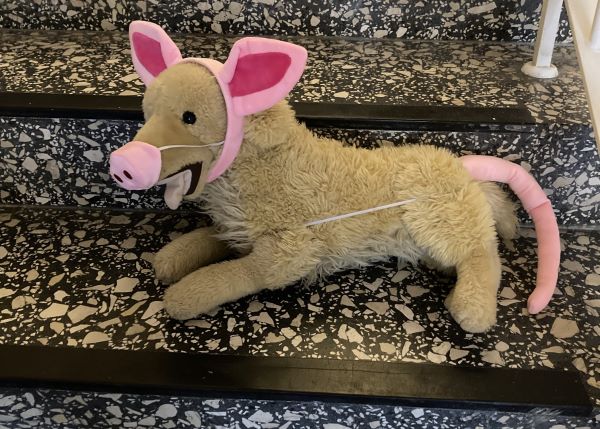 Öffnet die Seite 'Tag der Rückengesundheit - Diese Woche Rabatt mit Primo'